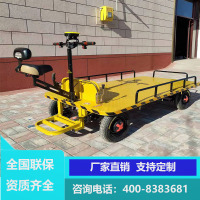 电动平板车手推车倒骑驴站骑款大棚仓储物流搬运车四轮工地小拖车 72V 2.5*1米平板