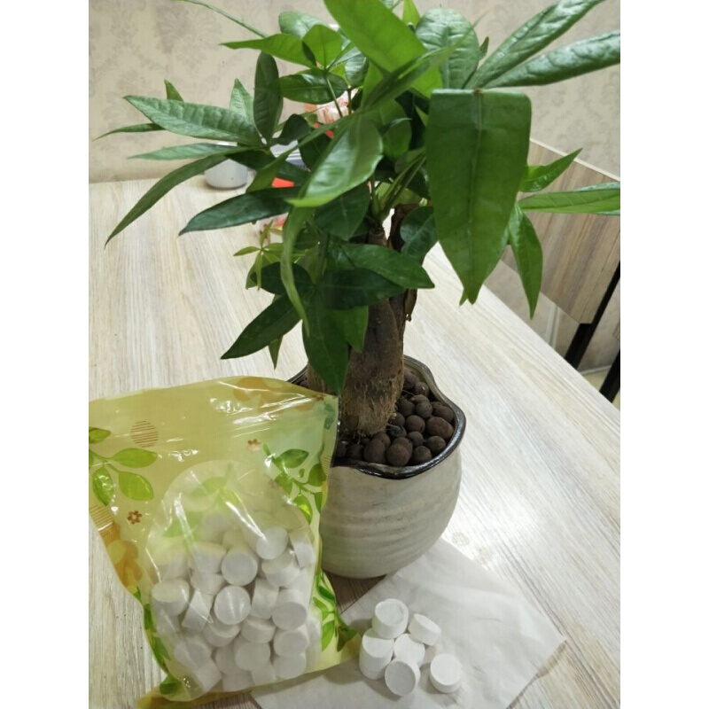 一次性纯棉压缩毛巾裸装户外旅行加厚迷你洗脸巾纸巾 裸装100粒