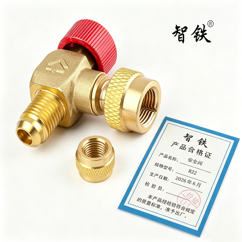 智铁安全阀R22个高清大图
