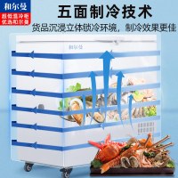 和尔曼 370升超低温水产冷柜 商用卧式冰柜 -80℃海鲜餐厅日料店金枪鱼商用水产保存箱DW-80W370A