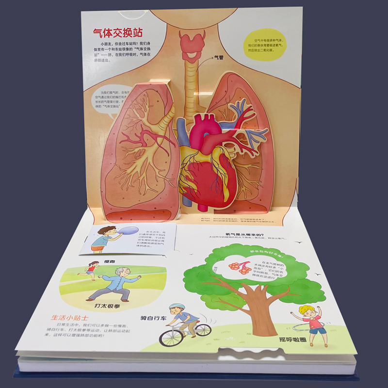 醉染图书不可思议的身体9787559726834高清大图