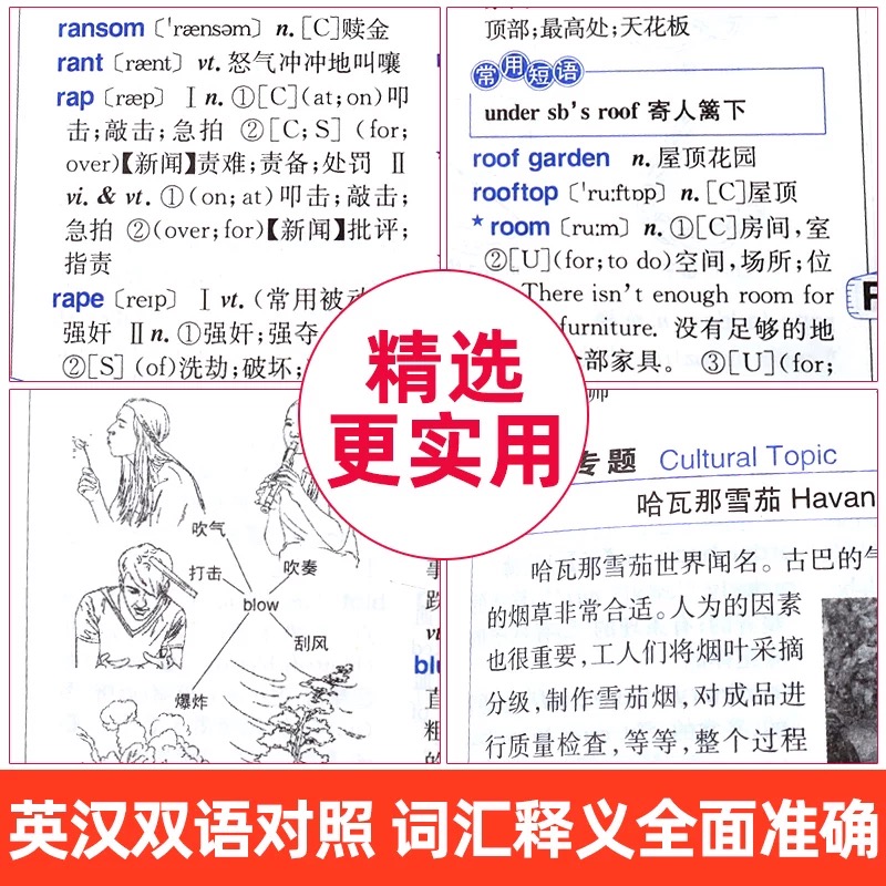 [官方正版]学生实用新英汉词典 [正版] 2025年新编双色本大学高中初中小学生实用新英汉词典汉英互译双解多全功能工具书高清大图