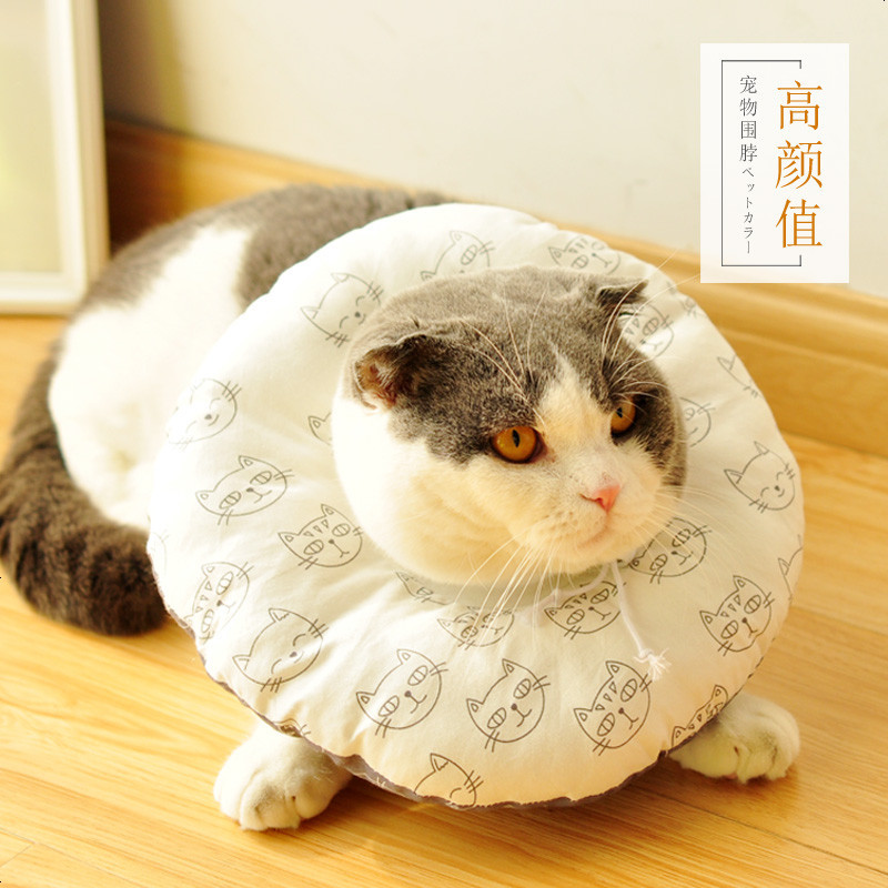 伊丽莎白圈猫狗绝育防咬防舔防抓耻辱圈
