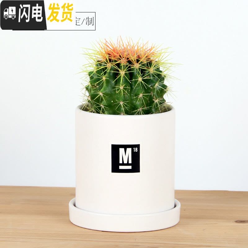 三维工匠简约圆柱ins北欧风格带托盘室内沙漠植 哑光黑(M18)防水贴纸 大号&middot;口径15cm高16花盆容器图片