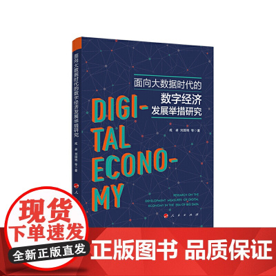 面向大数据时代的数字经济发展举措研究