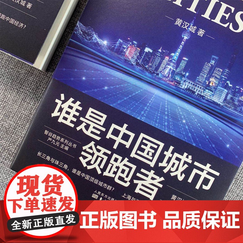 谁是中国城市领跑者高清大图