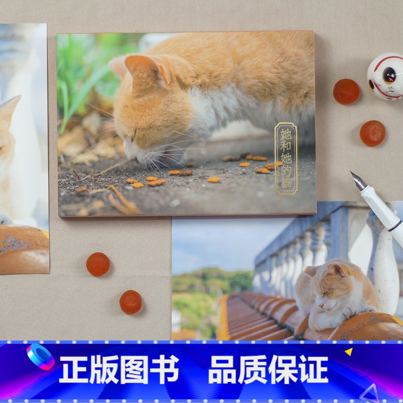 【正版】她和她的猫 摄影师@kelvin李28张摄影作品 可爱猫咪喵星人明信片 软萌小清新卡片生日送礼物文艺贺卡文创产