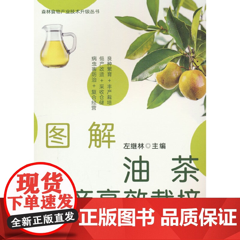 图解油茶丰产高效栽培高清大图