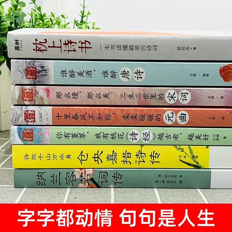 [醉染正版]正版全7册中国诗词大会枕上诗书一本书读懂优美古诗词唐诗宋词元曲诗经仓央嘉措诗传纳兰容若词古代文化常识书籍全套高清大图