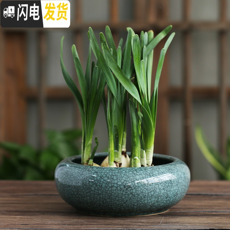 三维工匠简约无孔水培容器铜钱碗莲一叶莲塔竹巴西木特大号水仙花盆陶瓷 18031-2纯白无孔 大花盆容器高清大图