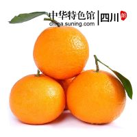 【中华特色】四川馆 四川青见柑橘橙子新鲜水果产地现摘4.5斤/箱 【第2件减7元】