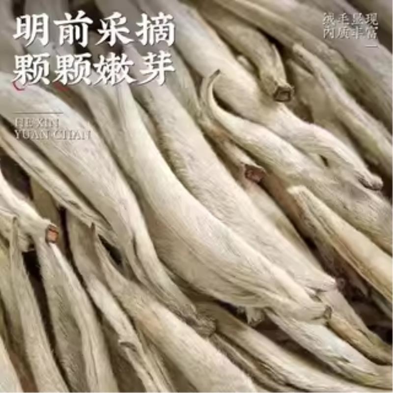 [5A白毫银针茶]春茶景谷大白茶老树散茶芽尖云南月光白白毫银针高清大图