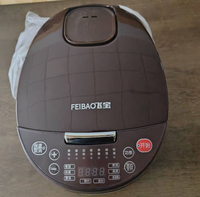 飞宝 盲文语音电饭煲 5L X1FA50-01