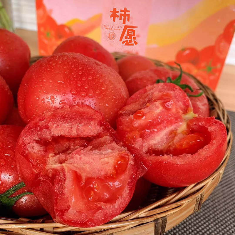[西沛生鲜]陕西普罗旺斯番茄 西红柿 沙瓤番茄 农家新鲜 净重4.5斤装 大果 番茄