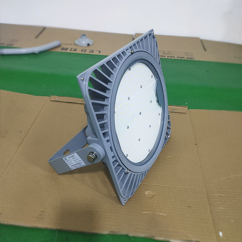 盛王盛荣 LED 泛光灯高清大图
