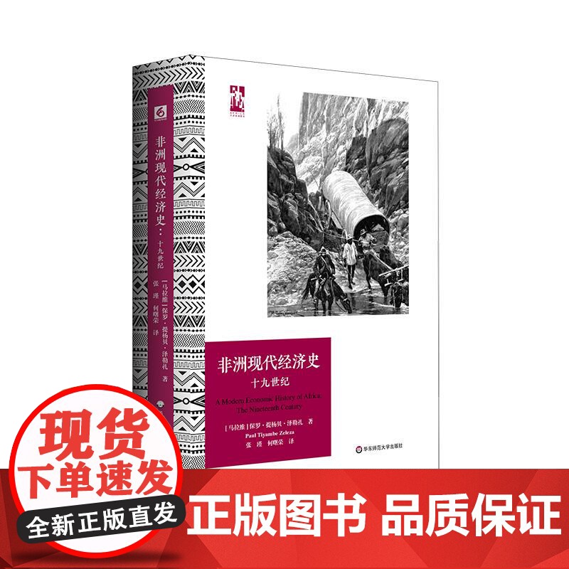 非洲现代经济史 十九世纪 六点非洲系列 精装 非洲历史研究 华东师范大学出版社高清大图