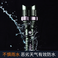 公狼(Hewolf)公狼手电筒强光户外充电变焦远射铝合金LED家用迷你小防身