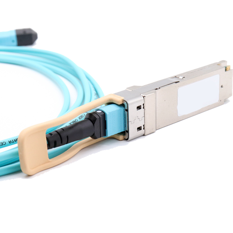 千天(QANTOP)光纤跳线 OM3万兆多模 40G光模块用集束光纤线 MPO-MPO母头12芯QT-GXTX429