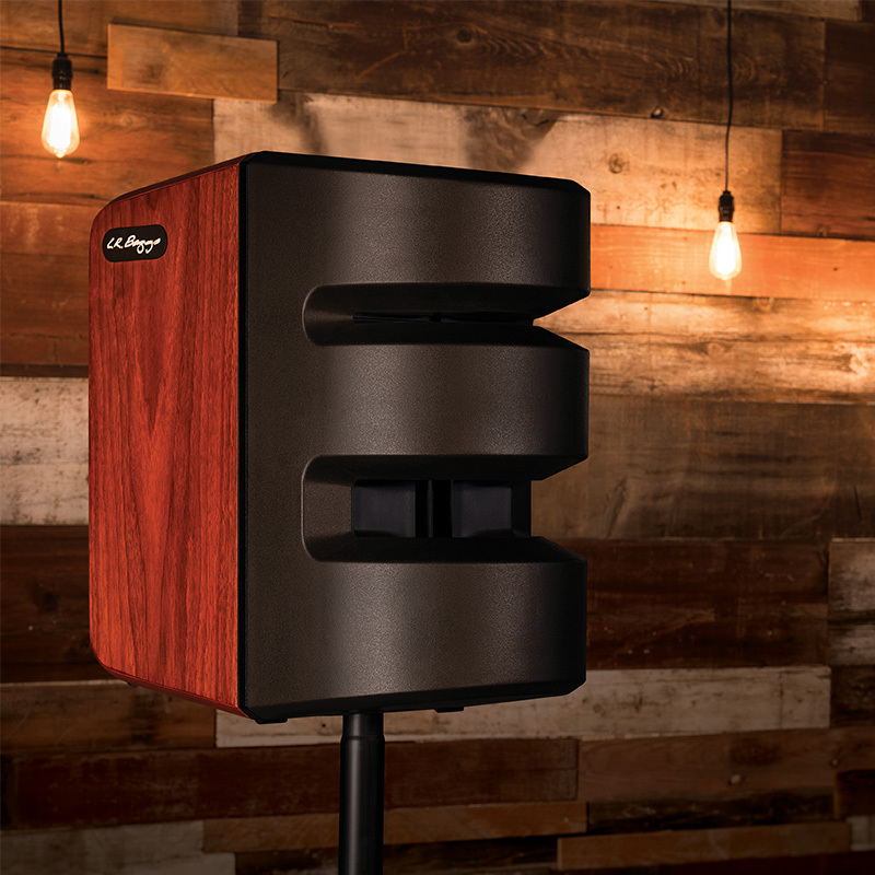 r.baggs syapse pa系统 500瓦 lr原声民谣木吉他音箱