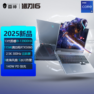 雷神（ThundeRobot）R16-i913900HX5060
