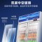 星星(XINGX)LSC-618Y 608升 双门冷藏展示柜 商用冰箱冷藏冰柜大容量 玻璃门立式饮料柜