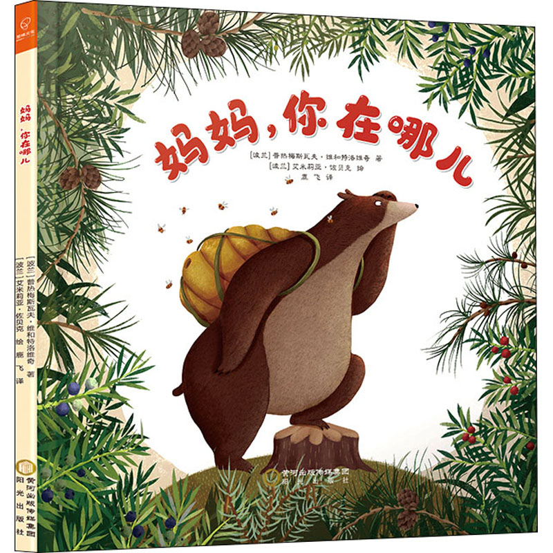 音像妈妈,你在哪儿(波)普热梅斯瓦夫·维和特洛维奇