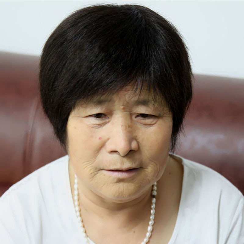 艾丝菲中老年真发假发短发女士假发短直发奶奶妈妈假发套头顶心手织