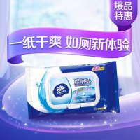 维达(Vinda) 湿巾居家洁净湿厕纸 40片*1包