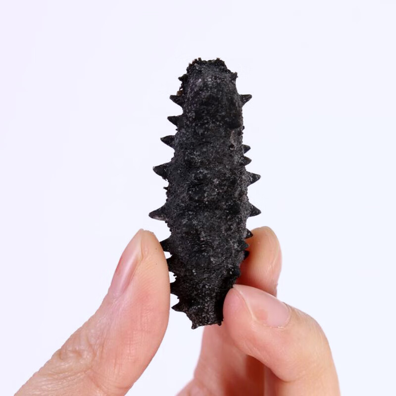 星龙港 大连干海参-福寿绵绵120g 单位:盒高清大图
