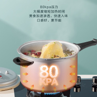 爱仕达(ASD) 锅具24CM六保险铝制燃气压力锅 明火适用高压锅 YL24S2WG 铝合金燃气灶适用 6L以上