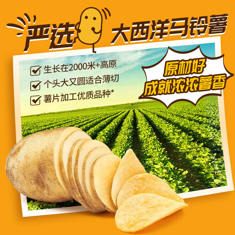 盐津铺子薯片 多口味薯片礼盒烘焙非油炸膨化零食整箱490g 14小包