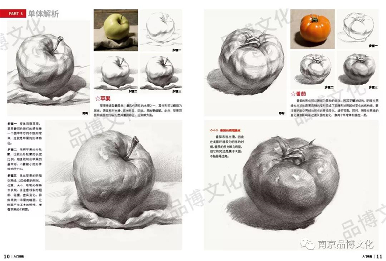 [醉染正版]入门绘画素描静物绘画基础教程 2019品博文化黄枕权著16开结构素描静物范本基础入门水果蔬菜单个组合静物步骤高清大图