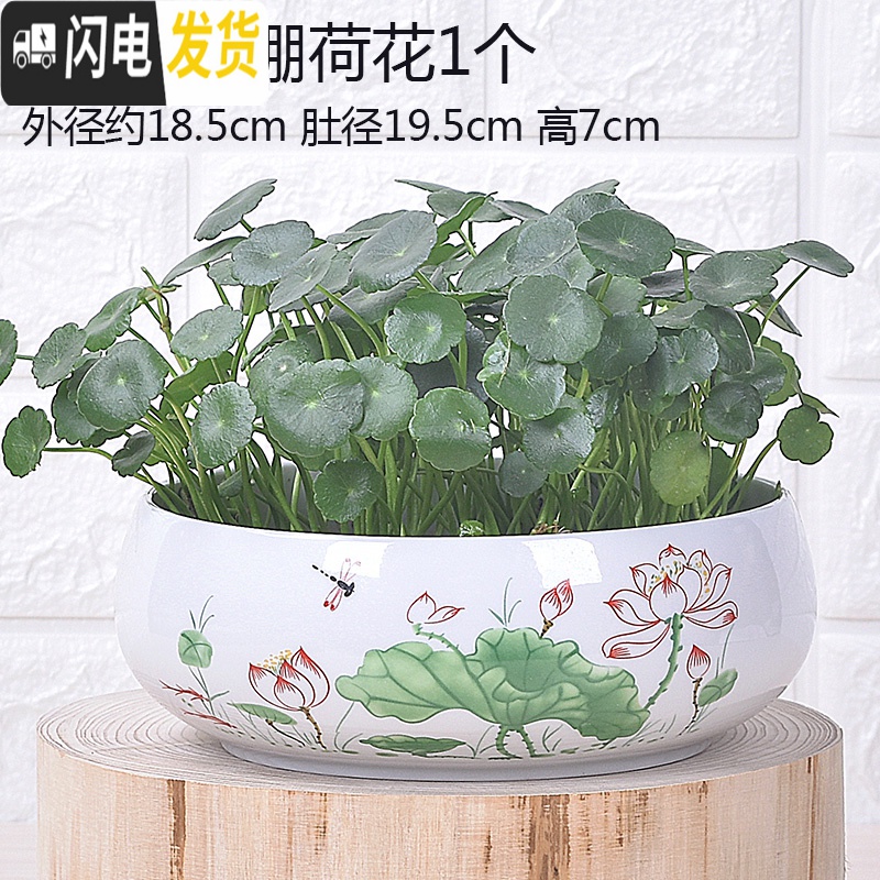 三维工匠无孔陶瓷水培花盆水仙铜钱睡莲荷花多肉特大号花盆 无孔-011天蓝1个 中等花盆容器高清大图