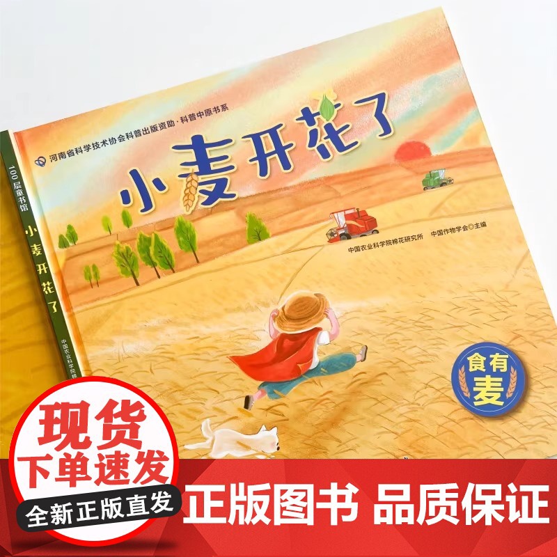 小麦开花了 童书绘本 精装图画书 中国原创 了解小麦的生长过程,体味农耕文化的智慧,学会感恩自然的馈赠 棉花的旅程高清大图