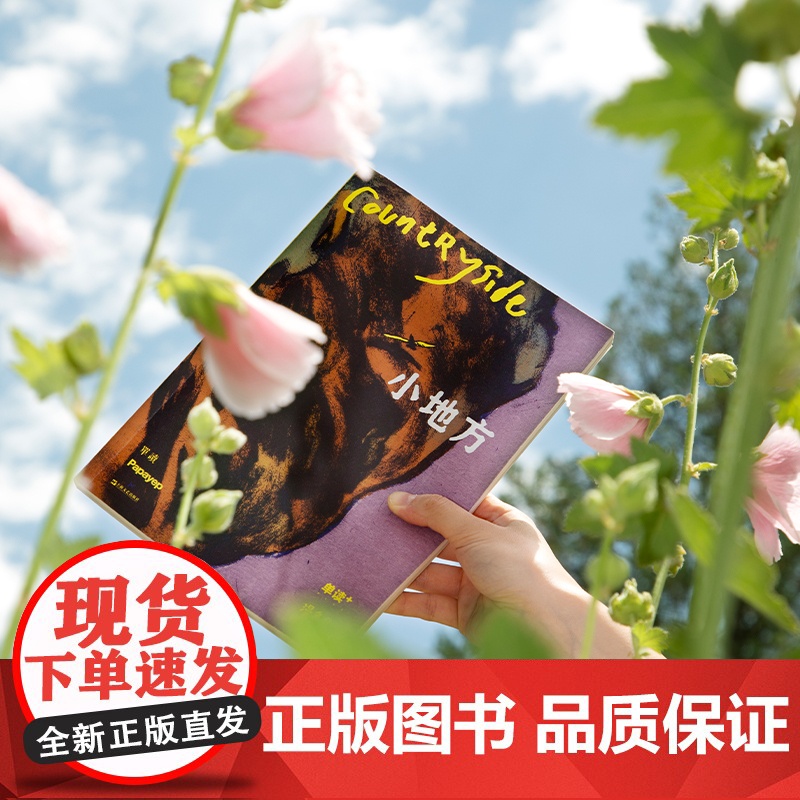 正版 小地方 单读PLUS漫象集特约主编杨成桦Papayep工作室联合独立漫画记录乡村县城变化上海文艺出版社单向空间高清大图