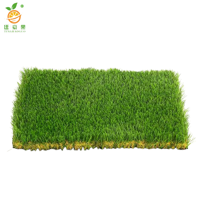 廷豪果 果岭草草坪 1平方米 /块高清大图