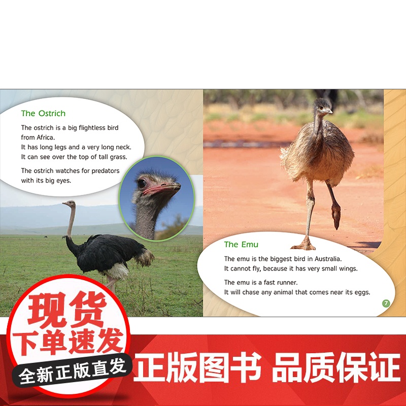 [外研社]丽声三叶草分级读物第九级(16册)高清大图
