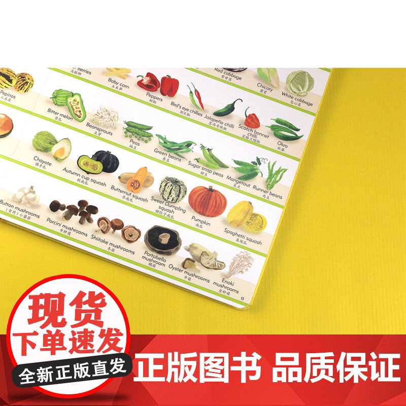 1000种食物 3-10岁 汉娜·伍德 著 少儿英语高清大图