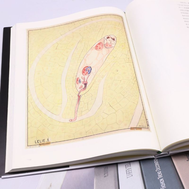 [正版]植物挂图:科学发展黄金阶段的艺术(120余幅精美挂图,解读多姿多彩的植物世界,精巧描绘植物生命的奥秘)高清大图