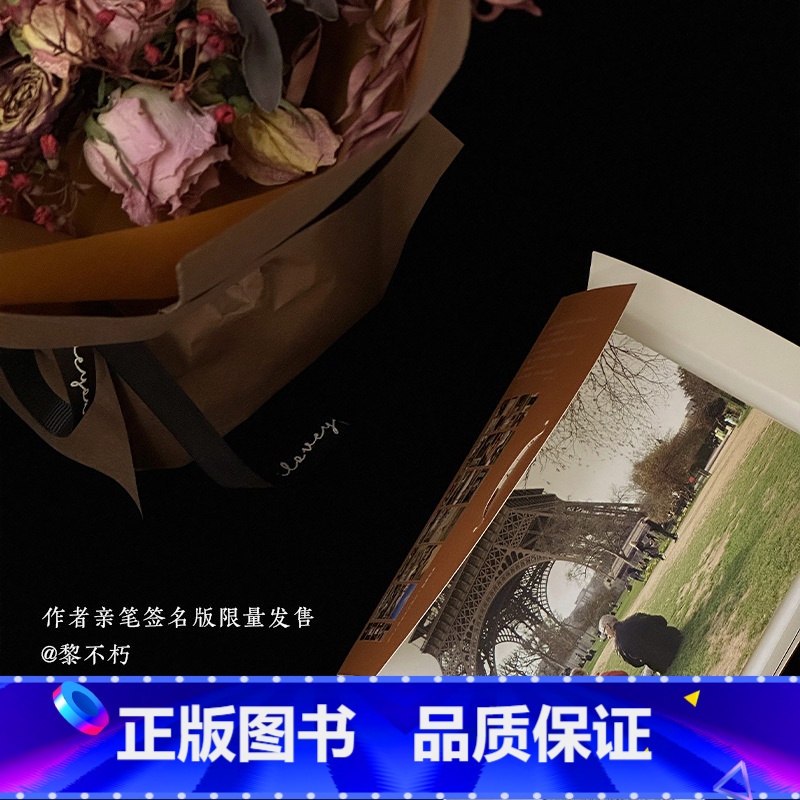 【正版】巴黎故事 摄影师@黎不朽 28张温柔浪漫的巴黎摄影作品集 告白气球巴黎铁塔出类艺术明信片创意唯美风景文艺插画集