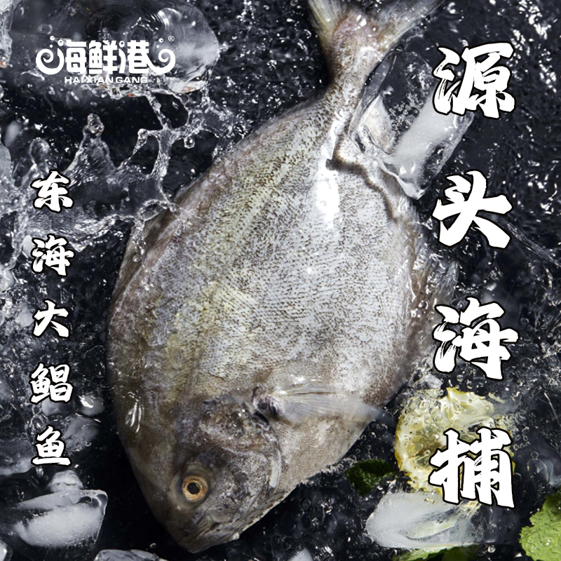 26年海鲜港258型-龙马精神(特价款)高清大图