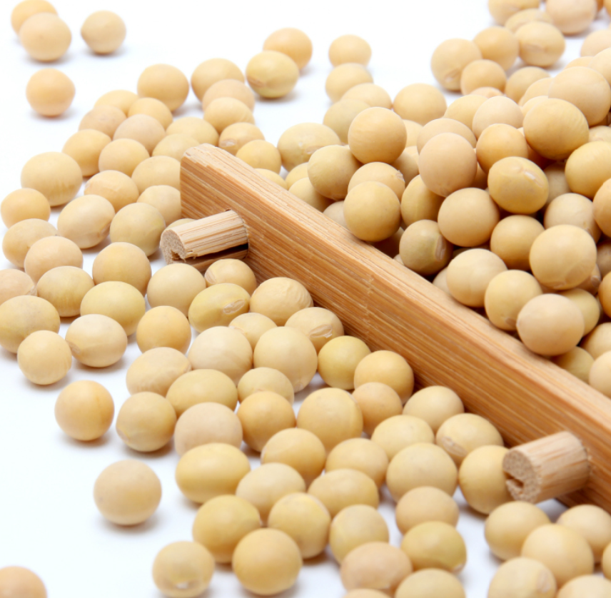 艾谷有机大豆1.9kg 大罐装 可打豆浆高清大图