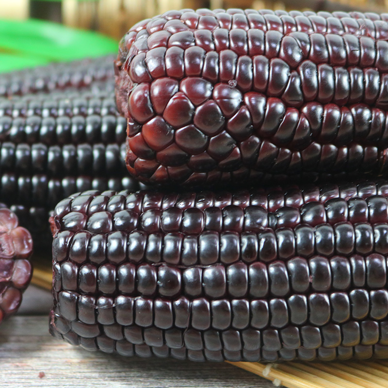 黑玉米头茬甜糯玉米0添加开袋即食220g*10高清大图