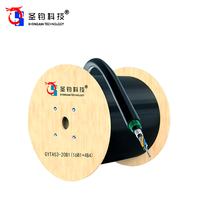 圣钧科技SHENGJUN TECHNOLOGY 通信光缆20芯 GYTA53-20B1（16B1+4B4）+米