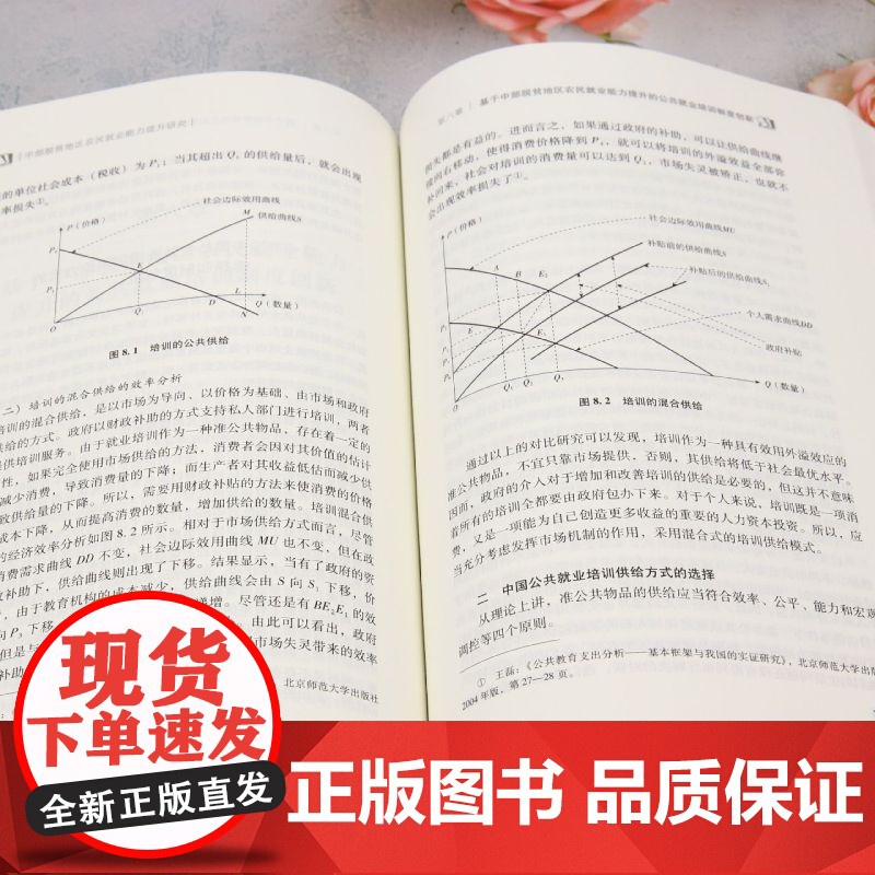 中部脱贫地区农民就业能力提升研究高清大图