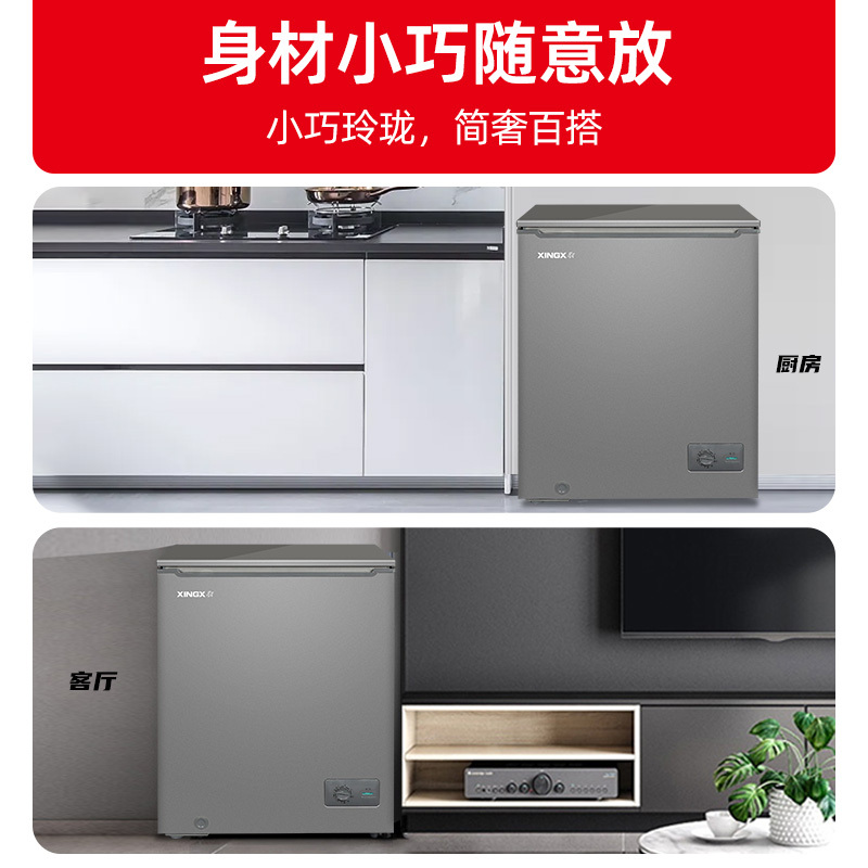 星星(XINGX)BC/BD-100KV商用家用小型两用柜单温冷藏冷冻转换一级能效高效减霜80%