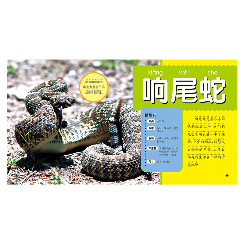 [醉染正版]晨风童书多彩童年我爱读系列 野生动物大百科彩图注音版 生动有趣的文字探秘动物世界 动物生活大百科3-8岁少儿