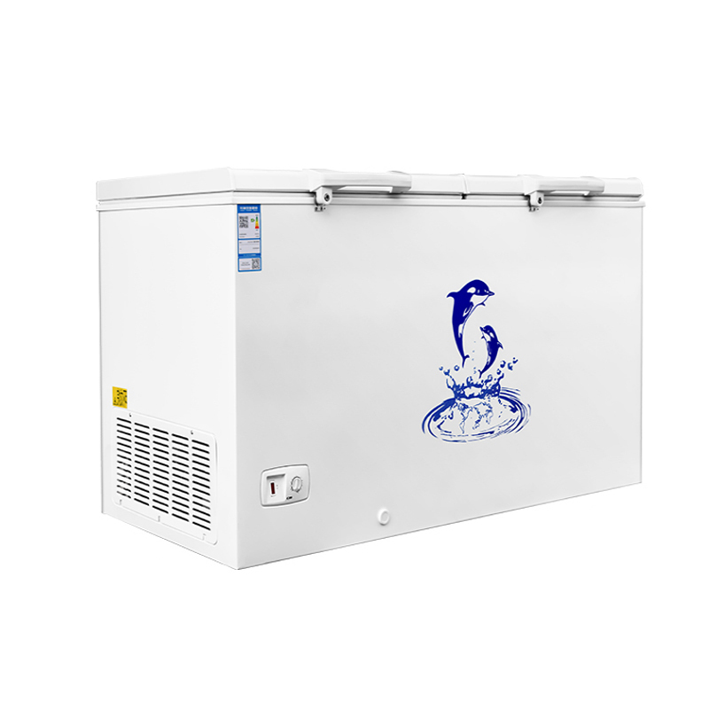 澳柯玛商用双门冰柜大容量冰柜冷冻冷藏柜冰箱