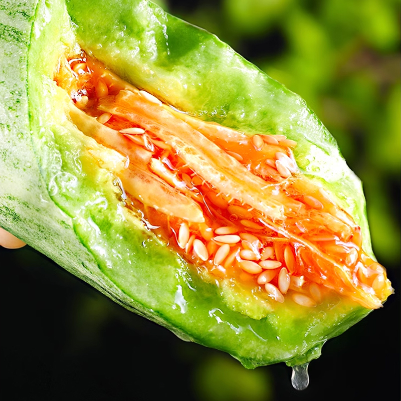 【熊猫鸟】新鲜羊角蜜甜瓜 博洋61号 净重2.8斤