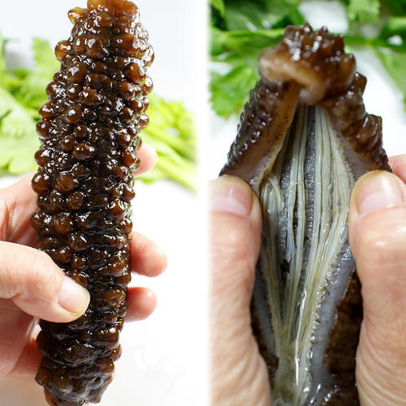 即食海参土耳其进口野生刺参季度卡120只